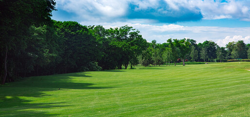 landscape design with hilly meadow covered with green turf grass at edge of forest with tall deciduous trees on sunny summer day with clouds in sky, banner eco nature park with copy space, nobody.