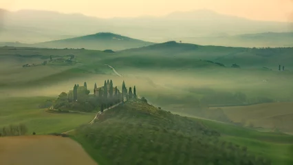 Keuken foto achterwand Olijfgroen Groene landschapsbomen in Toscane, Italië
