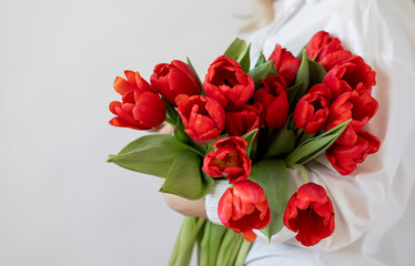 bouquet of red tulips in hands
