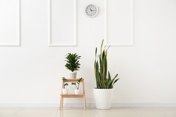 Wooden step stool with houseplants near light wall