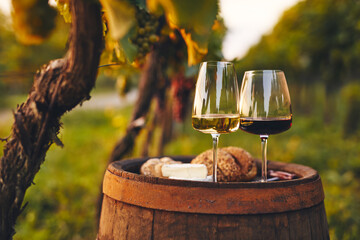 Two glasses of white and red wine on an old barrel outside in the vineyard - 494917319