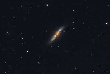 The Cigar galaxy, Messier 82, a starburst galaxy  in the constellation Ursa Major. Night sky stars...