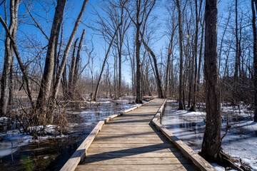 Great Swamp Park by East Branch Croton River at Patterson New York