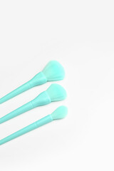 Beautiful makeup brushes on white background