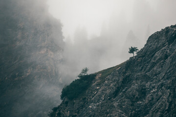 fog over the mountains