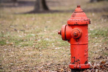 Closeup of a red Fire hydrant in the park