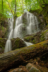 Beautiful view of the waterfall in the forest in Macedonia