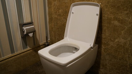 Brown Marble Bathroom and Toilet