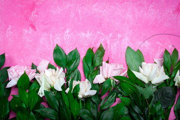 Small white flowers on a toned on gentle soft blue and pink background outdoors close-up macro . Spring summer border template floral background. Light air delicate artistic image, free space.