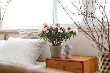 Begonia flowers and stylish decor on bedside table in light room