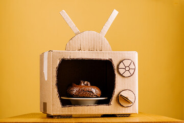 A cardboard mock-up of a TV with shit lying on a plate of poop. The concept of fake news