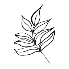 Hand drawn  leaf, branch.
Vector illustration for  card, home decor. 
Hand drawn plant for decoration