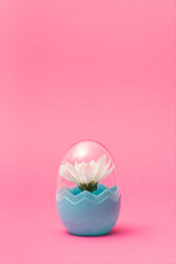Creative concept done with white spring blossom inside the fashionable plastic egg on pastel pink background. Minimal easter, spring mockup.