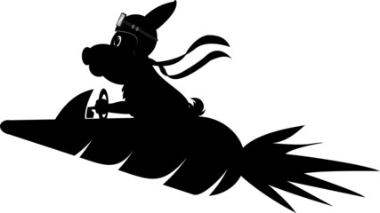 rabbit riding carrot rocket