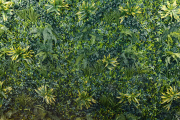 green wall with grass
