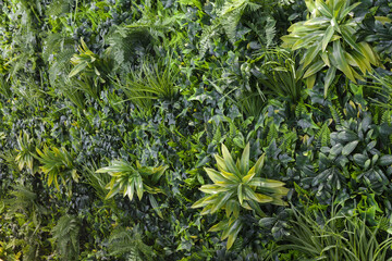 green wall with grass