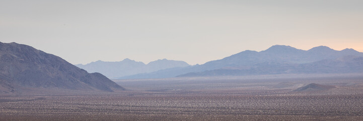 Panorama view of Joshua Tree National Park in California, USA
