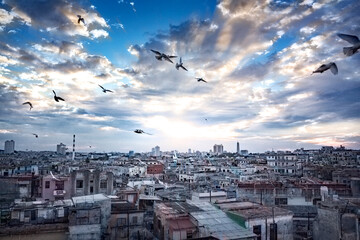 Doves flying in majestic sky over Havana, Cuba skyline