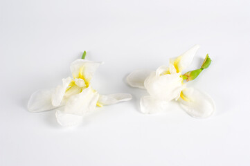 Naklejka na ściany i meble Flores blancas sobre fondo blanco