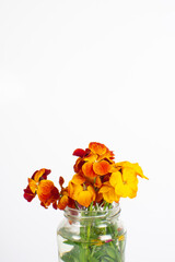 Ramo de flores naranjas en bote de cristal sobre fondo naranja