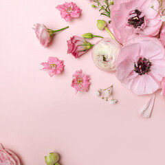 Tender ranunculus flowers in flatlay on pink background with copy space. Bunch of Persian buttercup in floral arrangments, top view