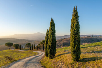 A dirt road bordered by a line of cypress trees in the Tuscan countryside near Siena, Italy
