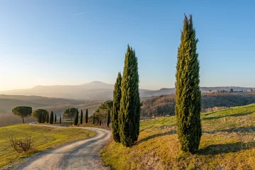 Fotobehang A dirt road bordered by a line of cypress trees in the Tuscan countryside near Siena, Italy © Marco Taliani