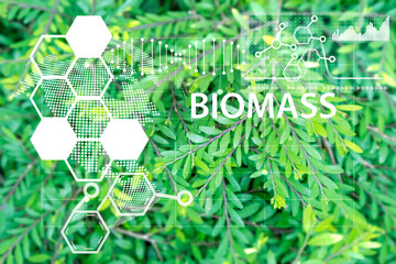 Using biomass and chemistry to conserve nature,Biomass for long-term conservation concept - obrazy, fototapety, plakaty