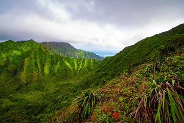 Fototapeten Beautiful view of a green mountain in Oahu Hawaii © Robert Stewart/Wirestock Creators