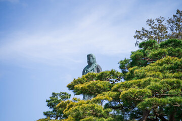 Fototapeta premium 木の上から顔を出す像
