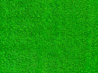 Plakat Green grass texture background grass garden concept used for making green background football pitch, Grass Golf, green lawn pattern textured background..