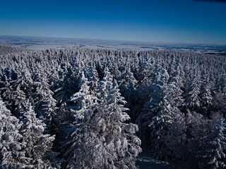 view of the snow-covered forest from above in the mountains