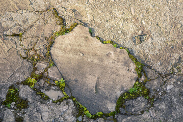 Grass And Moss Grow Through The Asphalt. Cracks In The Concrete. Old Road Cover. Top View.