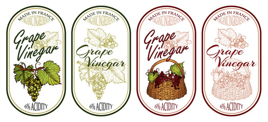 Sketch drawing grape vinegar logo set isolated on white background. Organic food badge. Line art green and red grapes with leaves in basket, outline wine fruit label. Vintage draw vector illustration. - 494951718