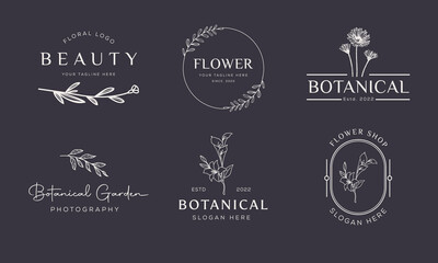 Fototapeta na wymiar Set of Botanical Floral element Hand Drawn Logo with Wild Flower and Leaves. Logo for spa and beauty salon, boutique, organic shop, wedding, floral designer, interior, photography, cosmetic