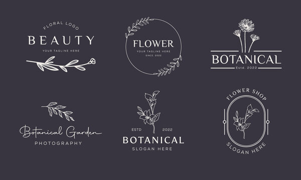 Set of Botanical Floral element Hand Drawn Logo with Wild Flower and Leaves. Logo for spa and beauty salon, boutique, organic shop, wedding, floral designer, interior, photography, cosmetic