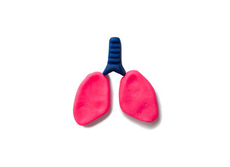 lungs symbol isolated on white made with plasticine. concept of world tuberculosis day, world no tobacco day, lung cancer, Pulmonary hypertension, Pneumonia, copd, eco air pollution. copy space