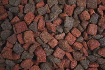 Dryed pet food background texture.	