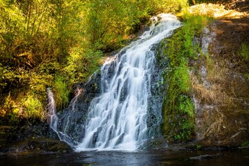 Waterfall in the forest