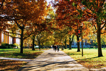 Scenic view of a park near the University of Illinois at Urbana-Champaign - obrazy, fototapety, plakaty