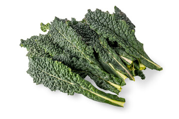 Leaves of Italian black kale or Tuscan kale or lacinato or dinosaur kale isolated on white;...