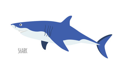 Obraz premium Sea animal, shark isolated on white background. underwater inhabitants. Flat vector cartoon