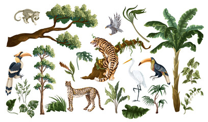 Jungle birds and animals isolated. Vector interior print.