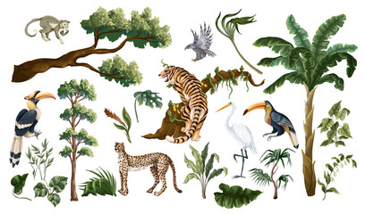 Jungle birds and animals isolated. Vector interior print. © Yumeee