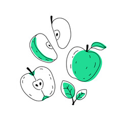 Green doodle apple outline with spots. Whole, pieces, seeds and leaves.