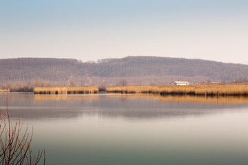 spring view of the water landscape