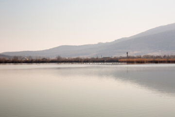 Beautiful spring view of the water landscape
