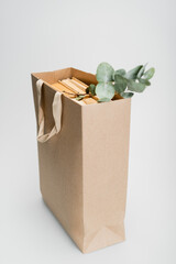 shopping bag with books and dried plant with green leaves on grey background.