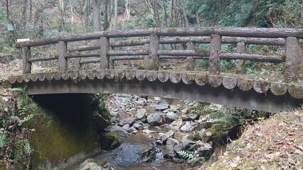 森の中の小川に架かる苔の生えた丸太橋