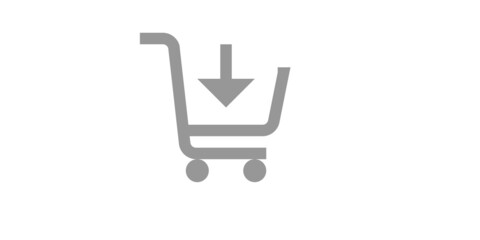 Silver color  shopping cart